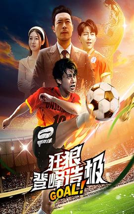 狂狼：登峰造极海报