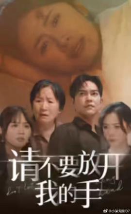 请不要放开我的手海报