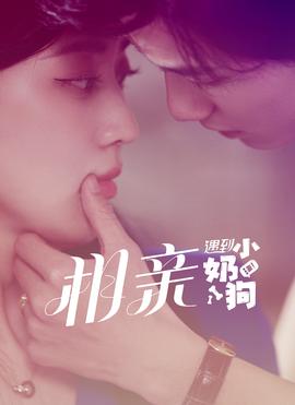 相亲遇到小奶狗海报