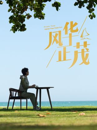 风华正茂海报