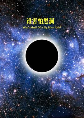地平线系列：大黑洞的恐惧海报