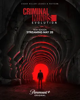 犯罪心理：演变第十九季 Criminal Minds： Evolution Season 19海报