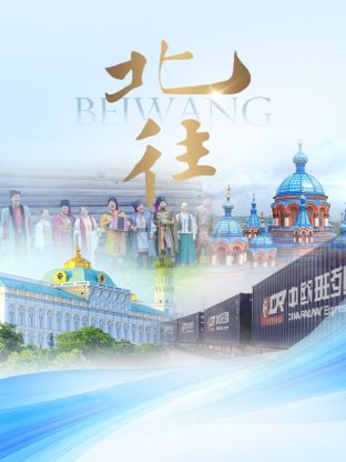 北往海报