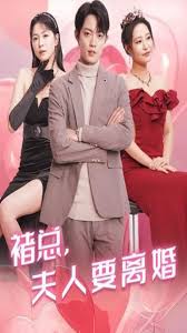 褚总夫人要离婚海报
