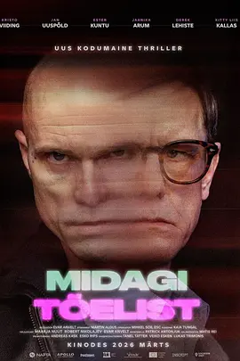 真实之物 Midagi tõelist海报