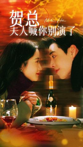 贺总夫人喊你别演了海报