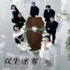 双生迷雾海报