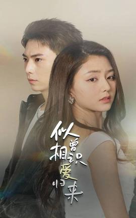 似曾相识爱归来海报