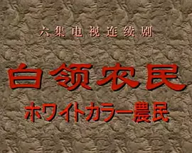 白领农民 (1998)海报