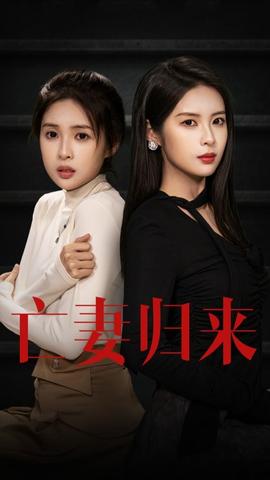 亡妻归来海报