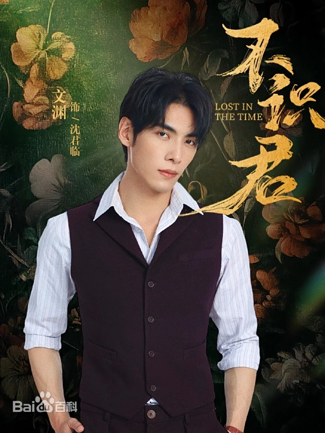 不识君海报