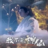 我不是神仙海报