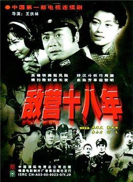 敌营十八年1981海报