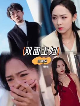 双面主妇海报