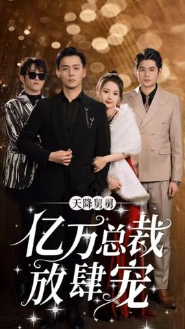 天降舅舅亿万总裁放肆宠海报