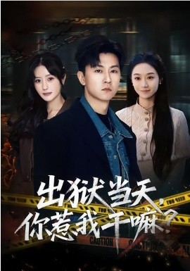 出狱当天，你惹我干嘛？海报