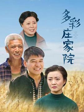 多彩庄家院海报