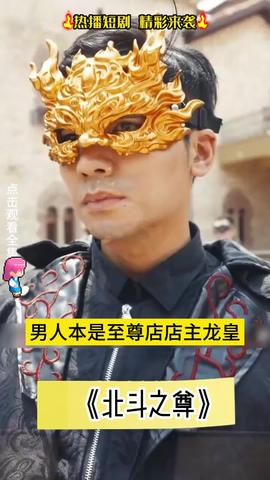 北斗之尊海报