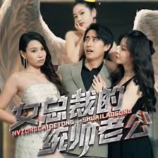 女总裁的统帅老公海报