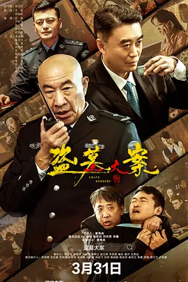 盗墓大案 追捕行动海报