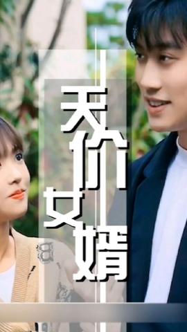 天价女婿海报