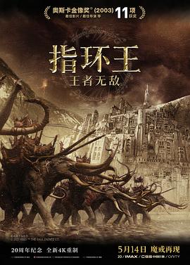 指环王3：王者无敌国语海报