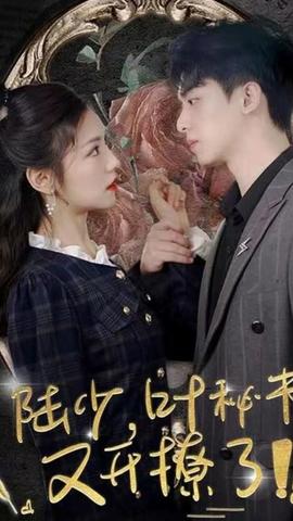 陆少，叶秘书又开撩了海报