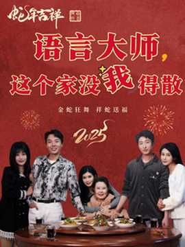 语言大师这个家没我得散海报