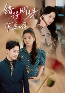 错将明珠作鱼目海报