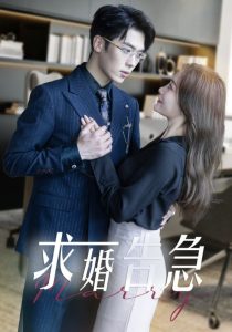 求婚告急海报