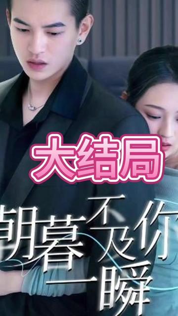 朝暮不及你一瞬海报