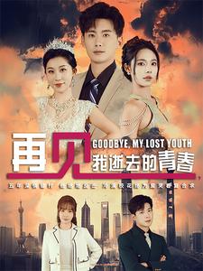 再见我逝去的青春海报