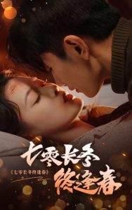 七零长冬终逢春海报