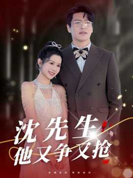 沈先生他又争又抢海报