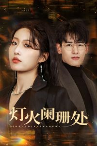 灯火阑珊处海报