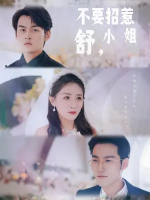 不要招惹舒小姐海报