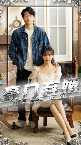 豪门弃婿海报