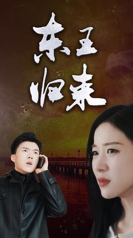 东王归来海报