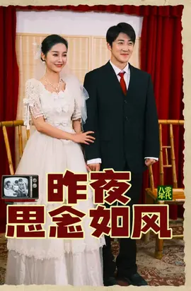 昨夜思念如风海报