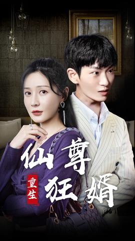 重生仙尊狂婿海报