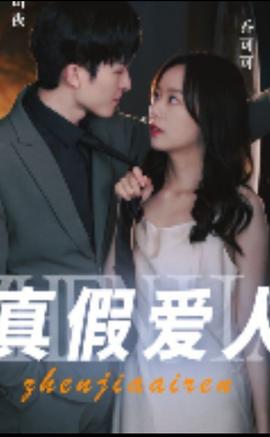 真假爱人海报