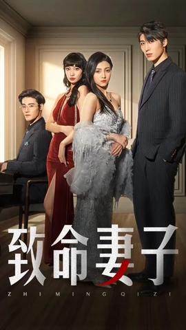致命妻子海报