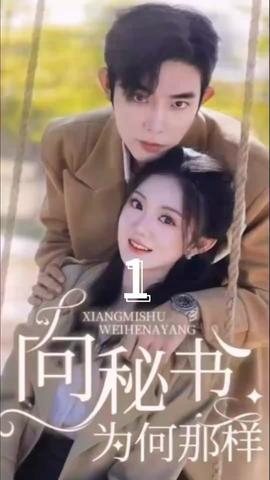 向秘书为何那样海报