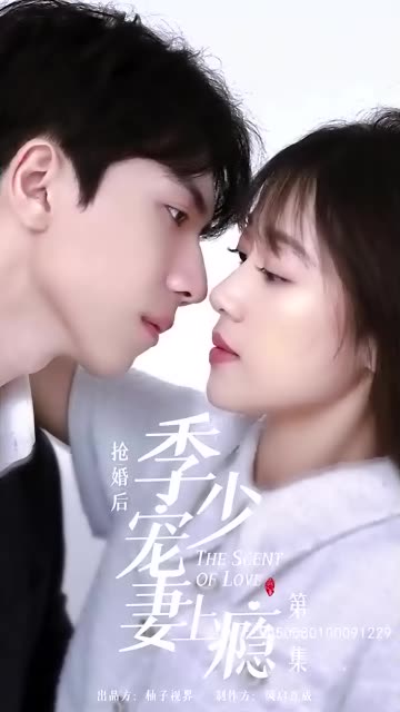 抢婚后，季少宠妻上瘾海报
