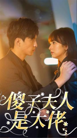 傻子夫人是大佬海报