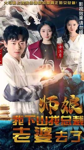 师娘我下山找总裁老婆了海报