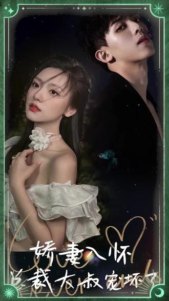娇妻入怀，总裁大叔宠坏了海报