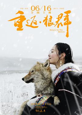 重返狼群海报