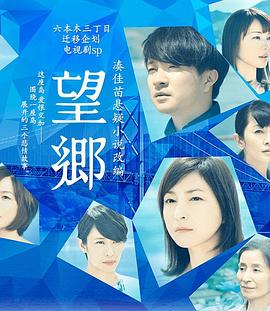 望乡海报
