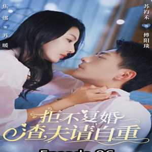 拒不复婚，渣夫请自重海报